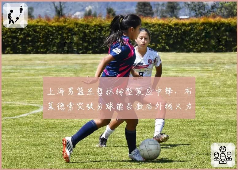 上海男篮王哲林转型策应中锋，布莱德索突破分球能否激活外线火力？