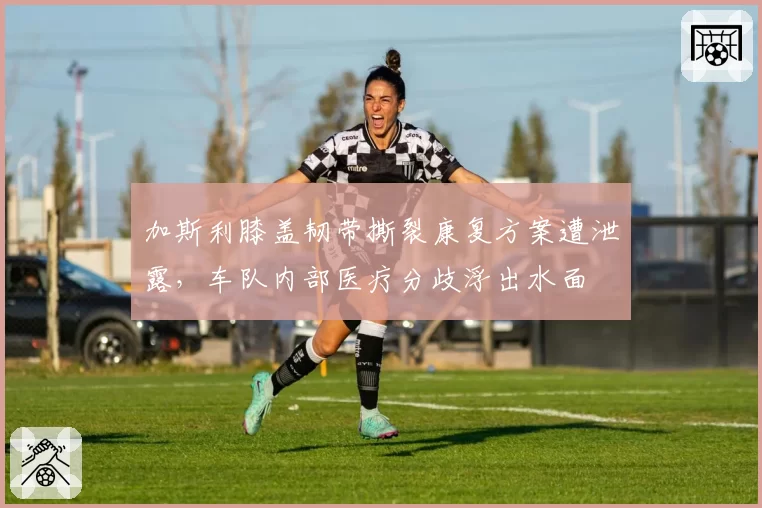 加斯利膝盖韧带撕裂康复方案遭泄露，车队内部医疗分歧浮出水面