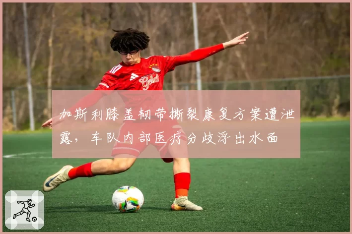 加斯利膝盖韧带撕裂康复方案遭泄露,车队内部医疗分歧浮出水面