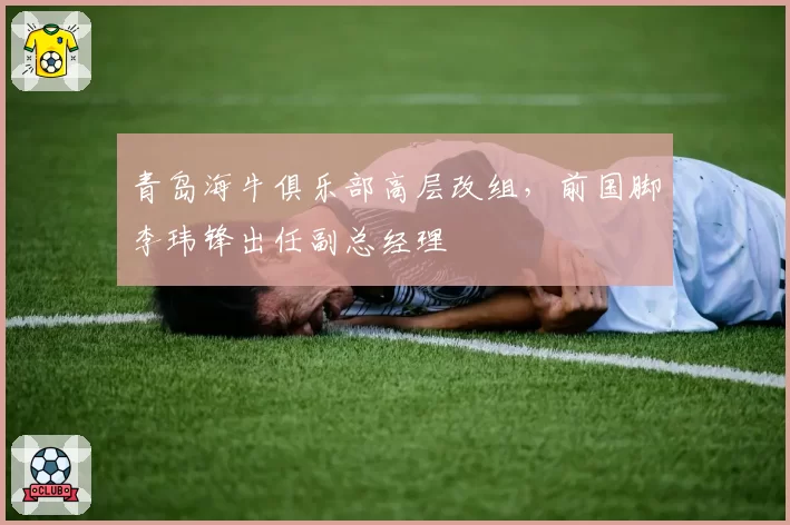 青岛海牛俱乐部高层改组，前国脚李玮锋出任副总经理